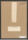 Nitzschia adriatica Grun. (de-Toni-Nr.: Genus 47, Species 2076) Zeichnungen Sammlung Grunow Nr. 4107 (NHMW-BOT-W0371967)